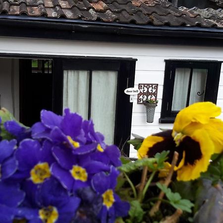 Bed and Breakfast Rose Farm Honiton Zewnętrze zdjęcie