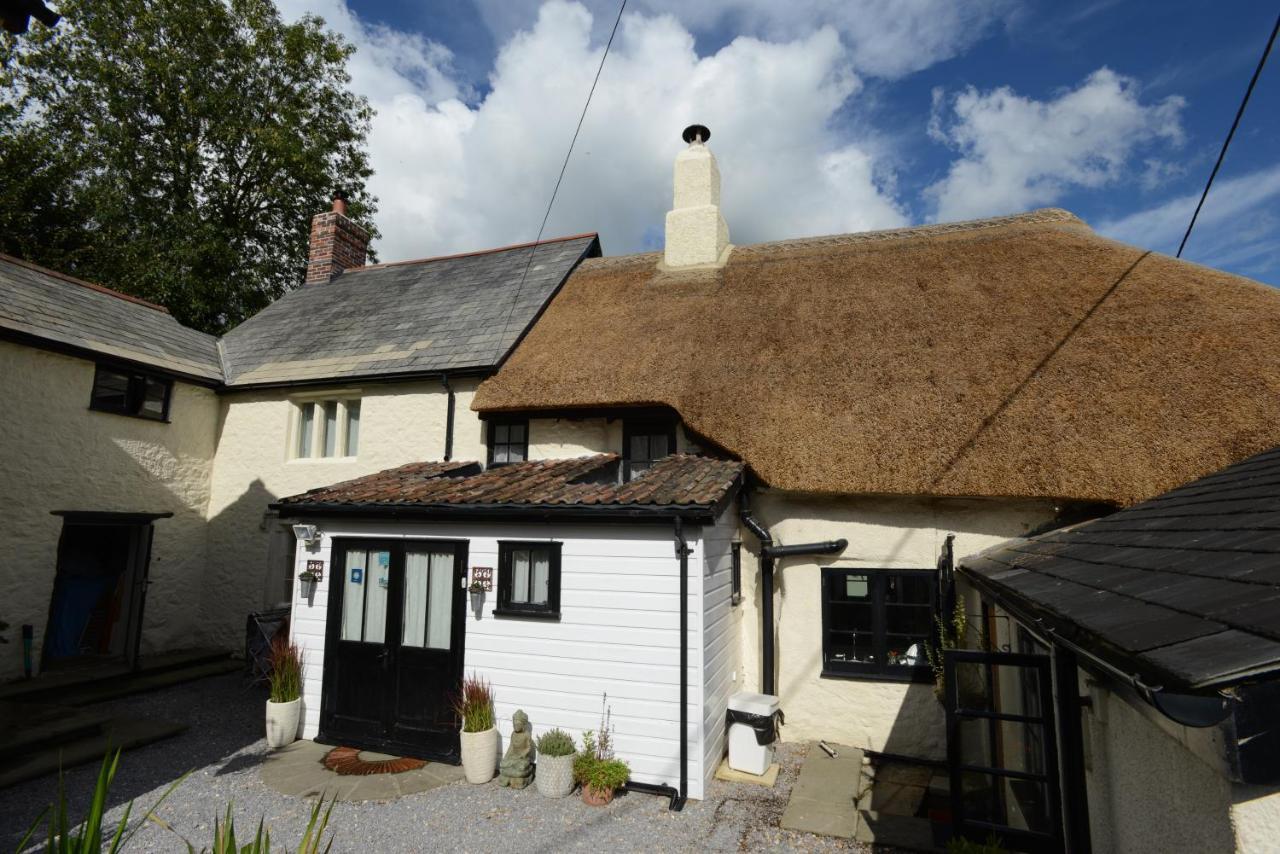 Bed and Breakfast Rose Farm Honiton Zewnętrze zdjęcie