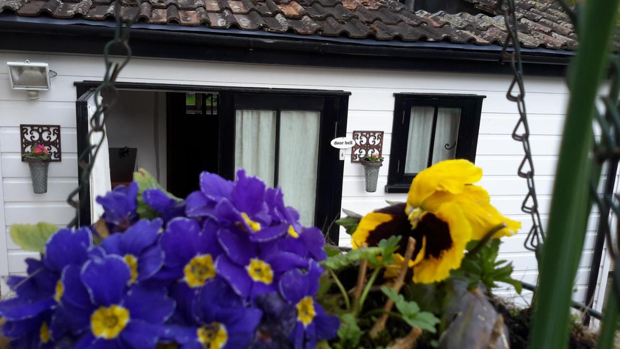Bed and Breakfast Rose Farm Honiton Zewnętrze zdjęcie