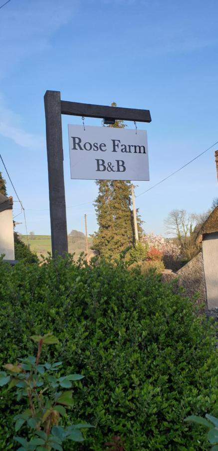Bed and Breakfast Rose Farm Honiton Zewnętrze zdjęcie