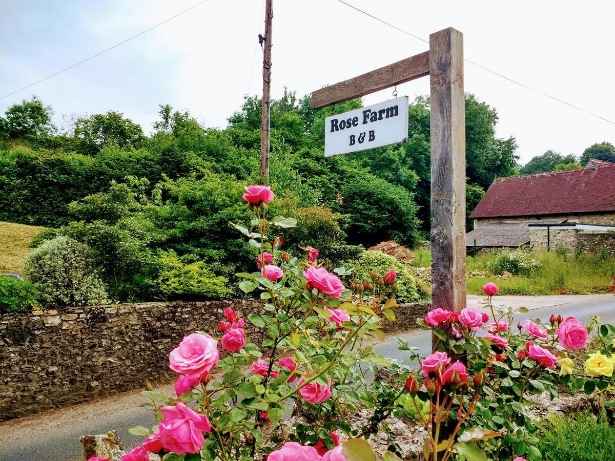 Bed and Breakfast Rose Farm Honiton Zewnętrze zdjęcie